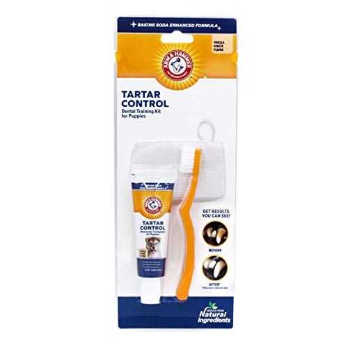 Arm & Hammer | Tartar Control Kit for Dogs | Toothpaste, Toothbrush & Finger Brush