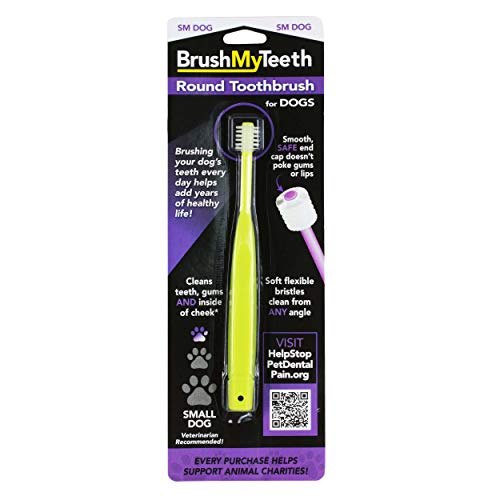 Big Dog Toothbrush