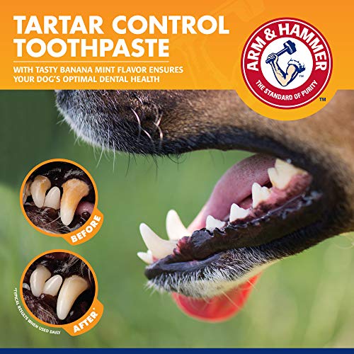 Arm & Hammer | Tartar Control Kit for Dogs | Toothpaste, Toothbrush & Finger Brush