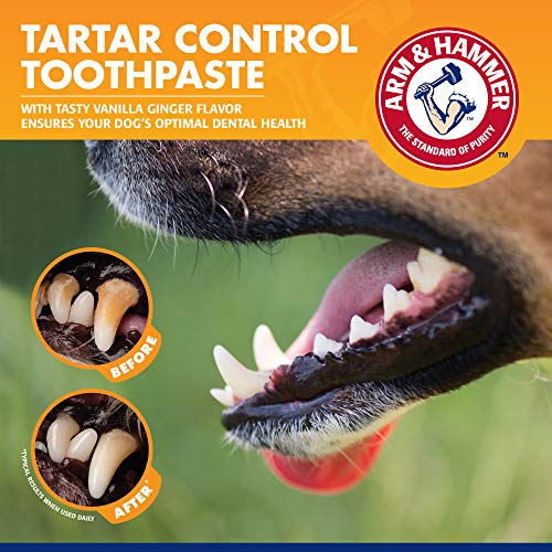 Arm & Hammer | Tartar Control Kit for Dogs | Toothpaste, Toothbrush & Finger Brush