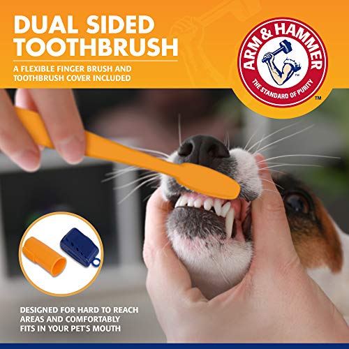 Arm & Hammer | Tartar Control Kit for Dogs | Toothpaste, Toothbrush & Finger Brush