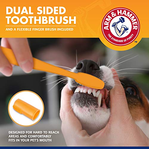 Arm & Hammer | Tartar Control Kit for Dogs | Toothpaste, Toothbrush & Finger Brush