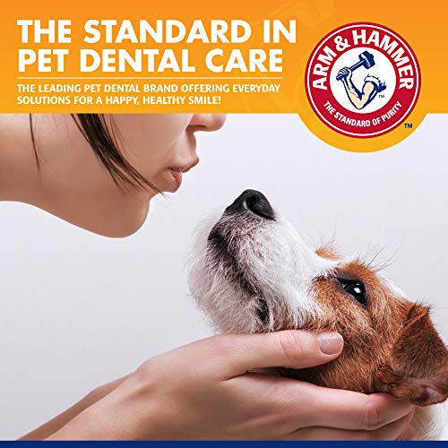 Arm & Hammer | Tartar Control Kit for Dogs | Toothpaste, Toothbrush & Finger Brush