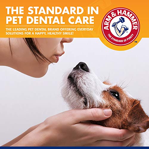 Arm & Hammer | Tartar Control Kit for Dogs | Toothpaste, Toothbrush & Finger Brush