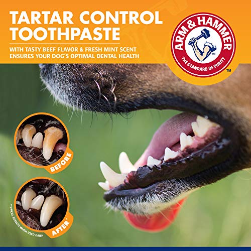 Arm & Hammer | Tartar Control Kit for Dogs | Toothpaste, Toothbrush & Finger Brush