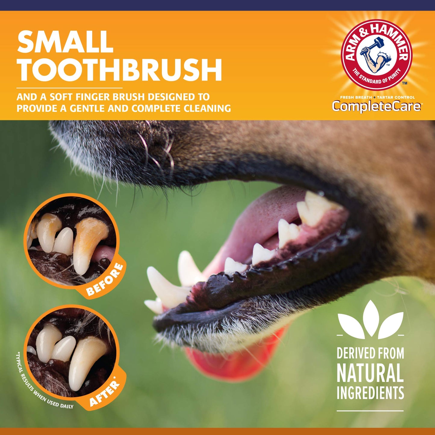 Arm & Hammer |  Puppy Dental Kit