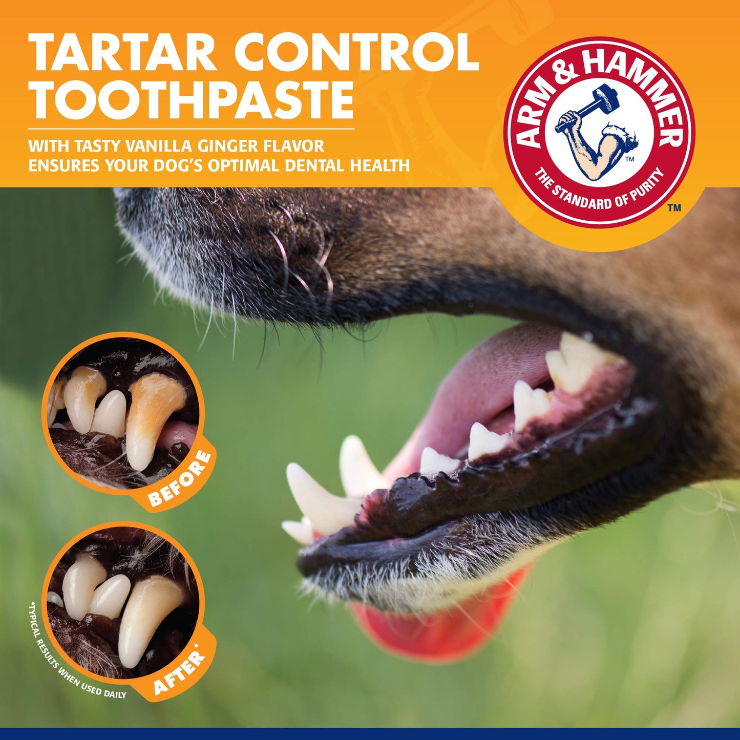 Arm & Hammer | Tartar Control Kit for Dogs | Toothpaste, Toothbrush & Finger Brush