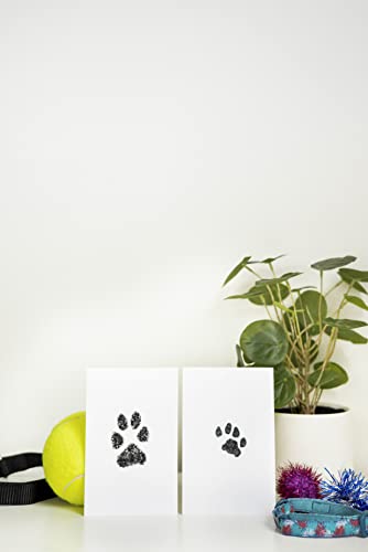 Paw Print Keepsake