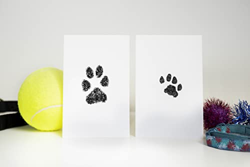 Paw Print Keepsake