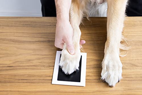 Paw Print Keepsake