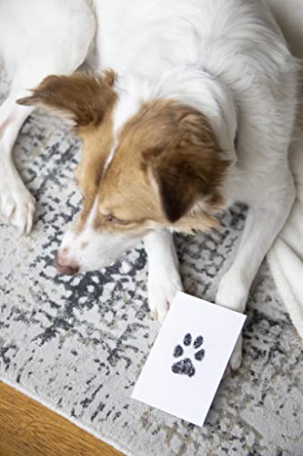 Paw Print Keepsake