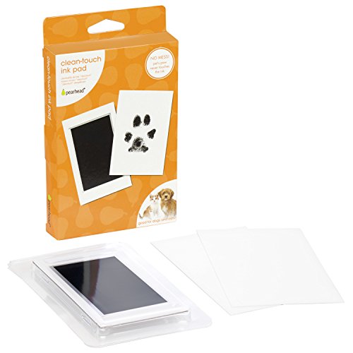 Paw Print Keepsake