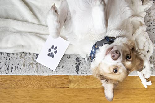 Paw Print Keepsake