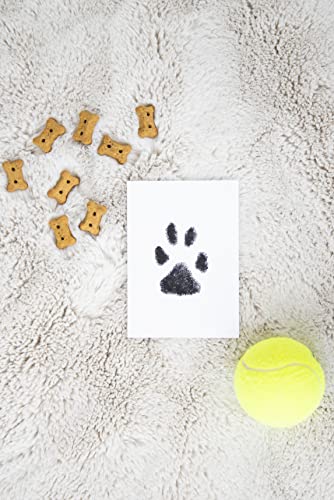 Paw Print Keepsake