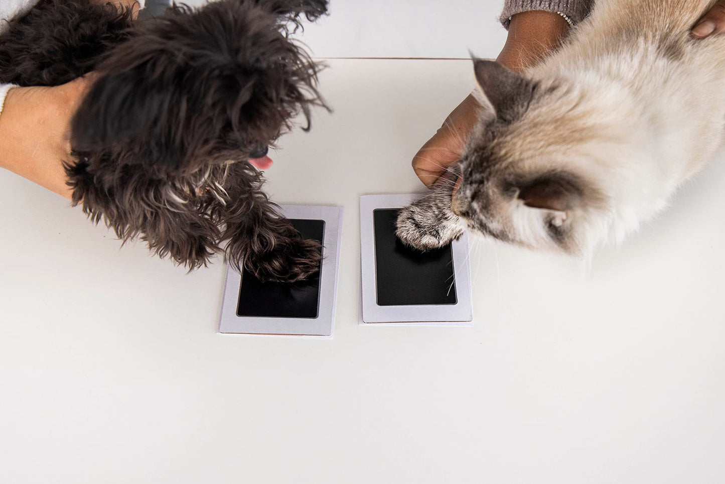 Paw Print Keepsake