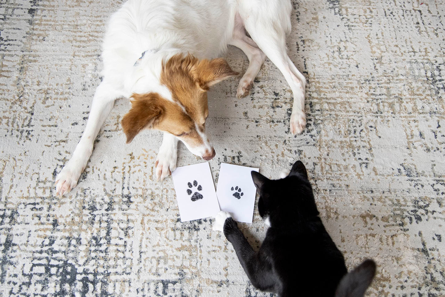 Paw Print Keepsake